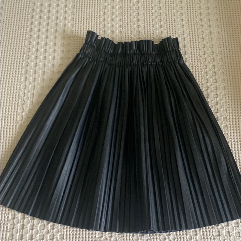 Parisian Works Midnight Pleated A-Line Skirt